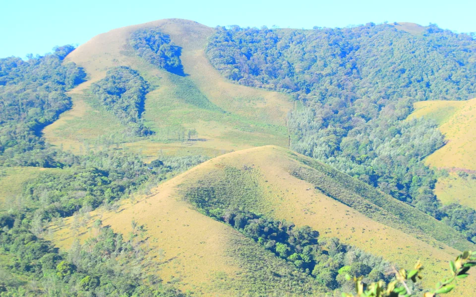 The hills of Mullayanagiri near Chikmagalur.