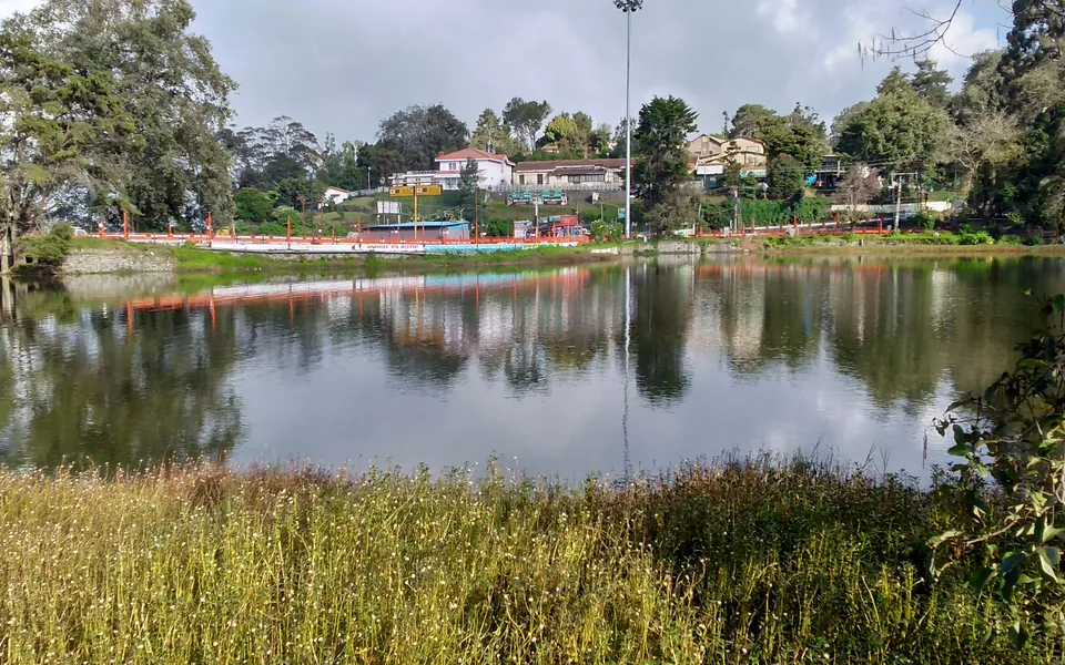 Trees reflected in the water of Kodaikanal Lake.